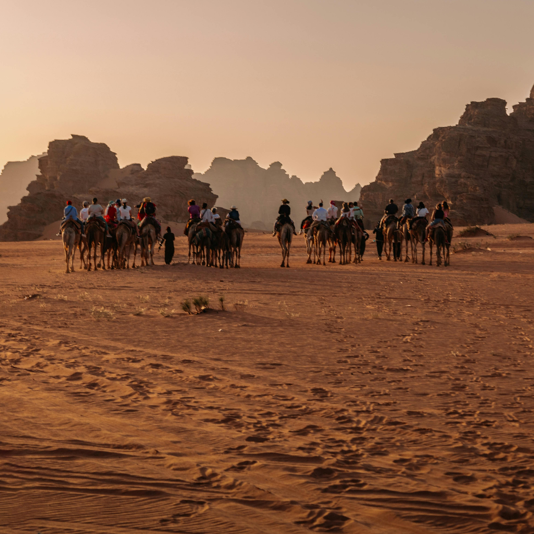 Group Tours