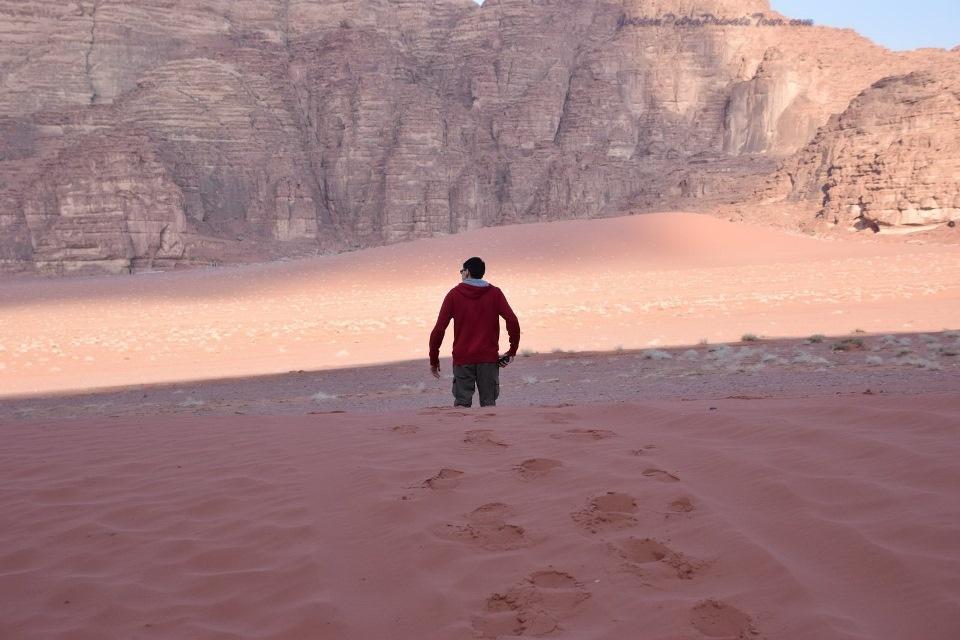 Petra rum one day tour