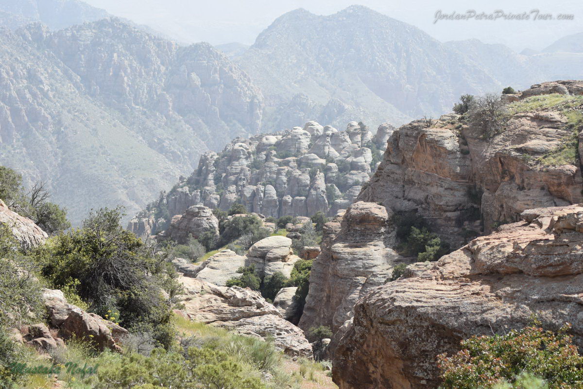 dana natural reserve 9 20170420 1735151952