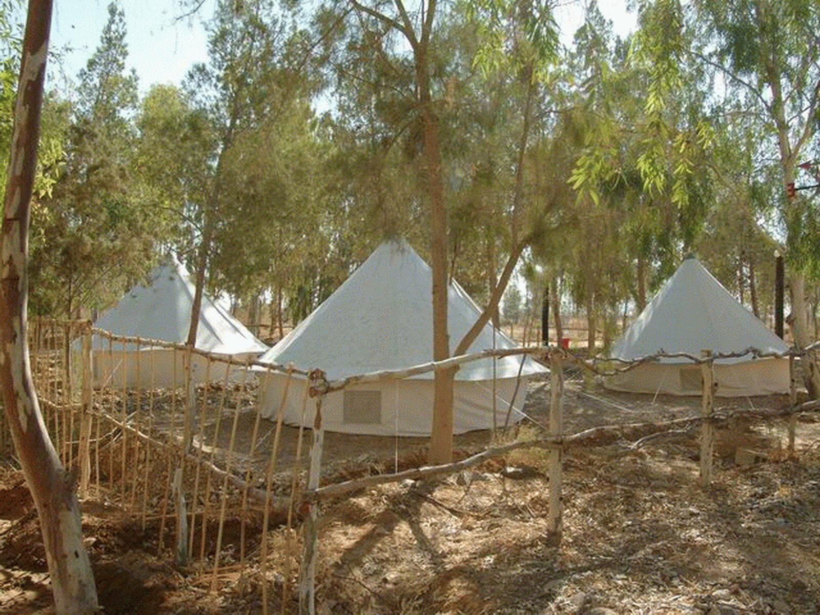 jordan nature reserves shaumari 41 20170502 1112667387