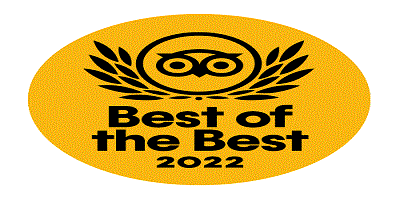 2-Day Tour Petra, Wadi Rum, and Dead Sea from Amman won a Travelers  Choice Award winner